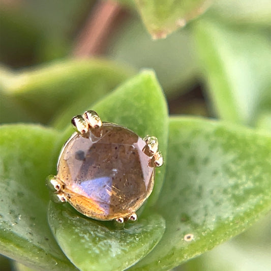 4mm Round Cab Prong - Threaded - Agave in Bloom