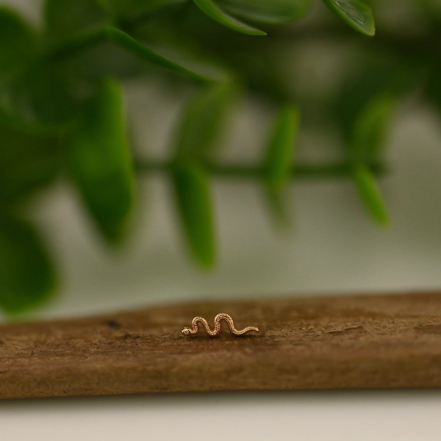 Tiny Delicate Snake
