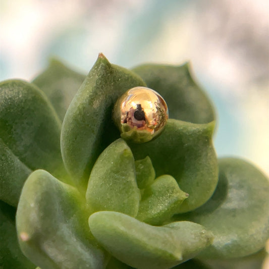 5/32" Bead - Agave in Bloom