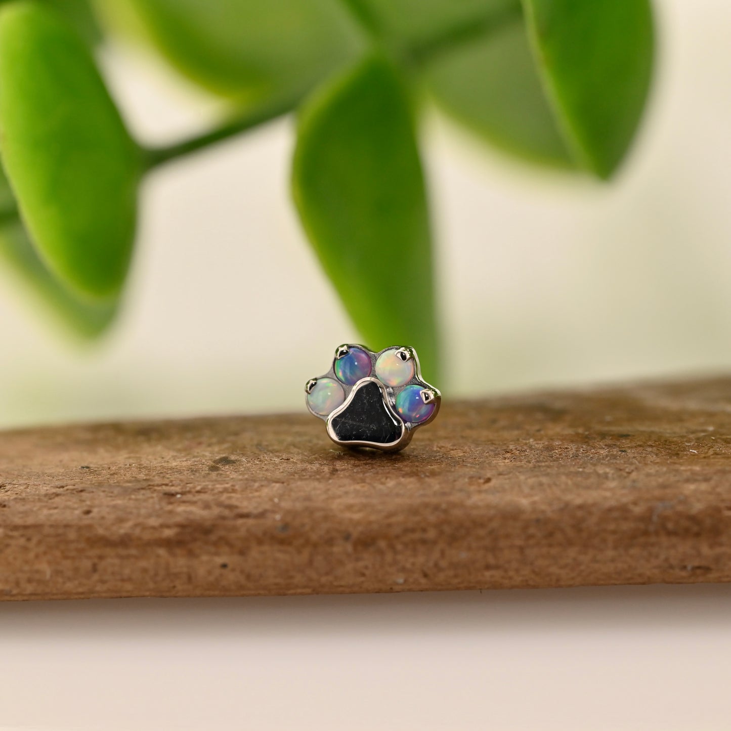 Titanium Paw Print - Gemmed