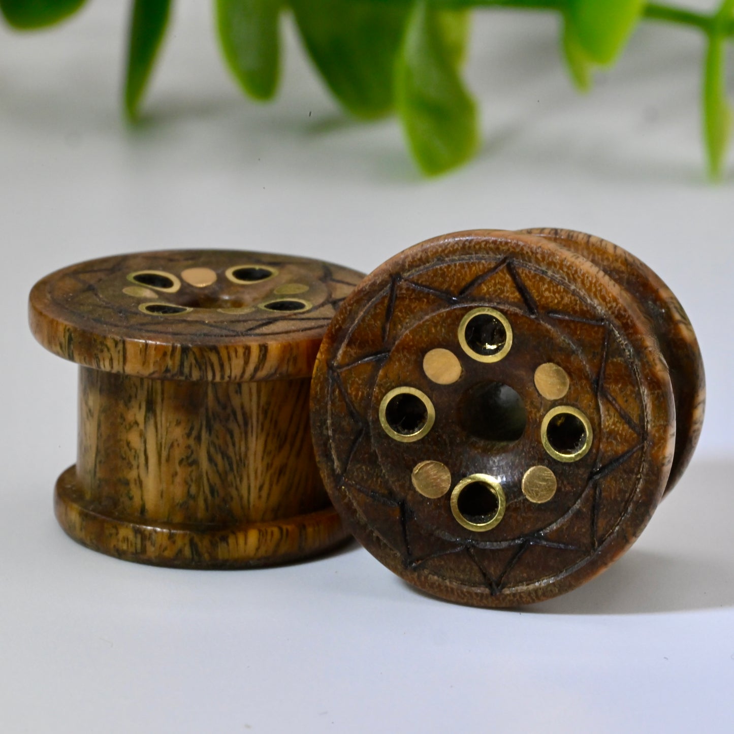 Wood and Brass Cenote Plugs - Pair