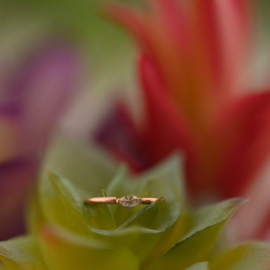 Marquise V Prong Fixed Ring