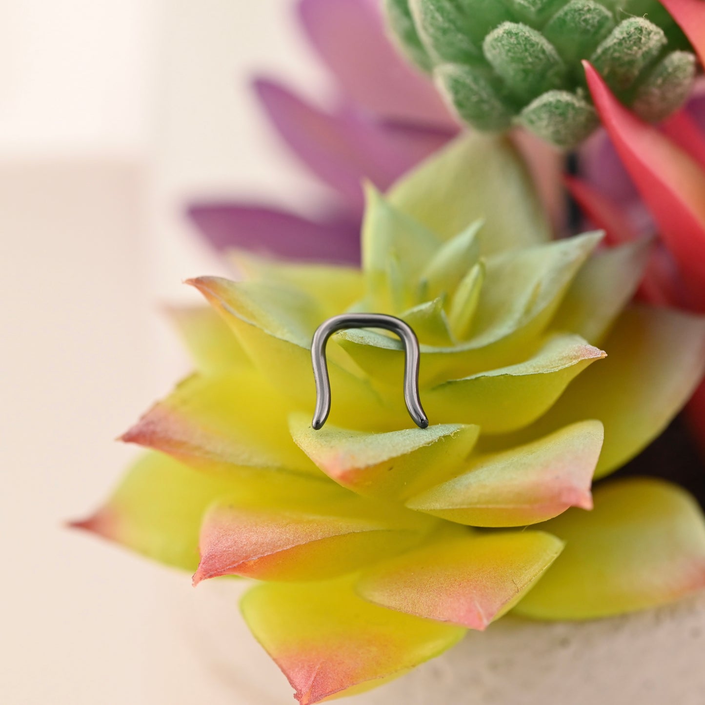 16g Septum Retainer