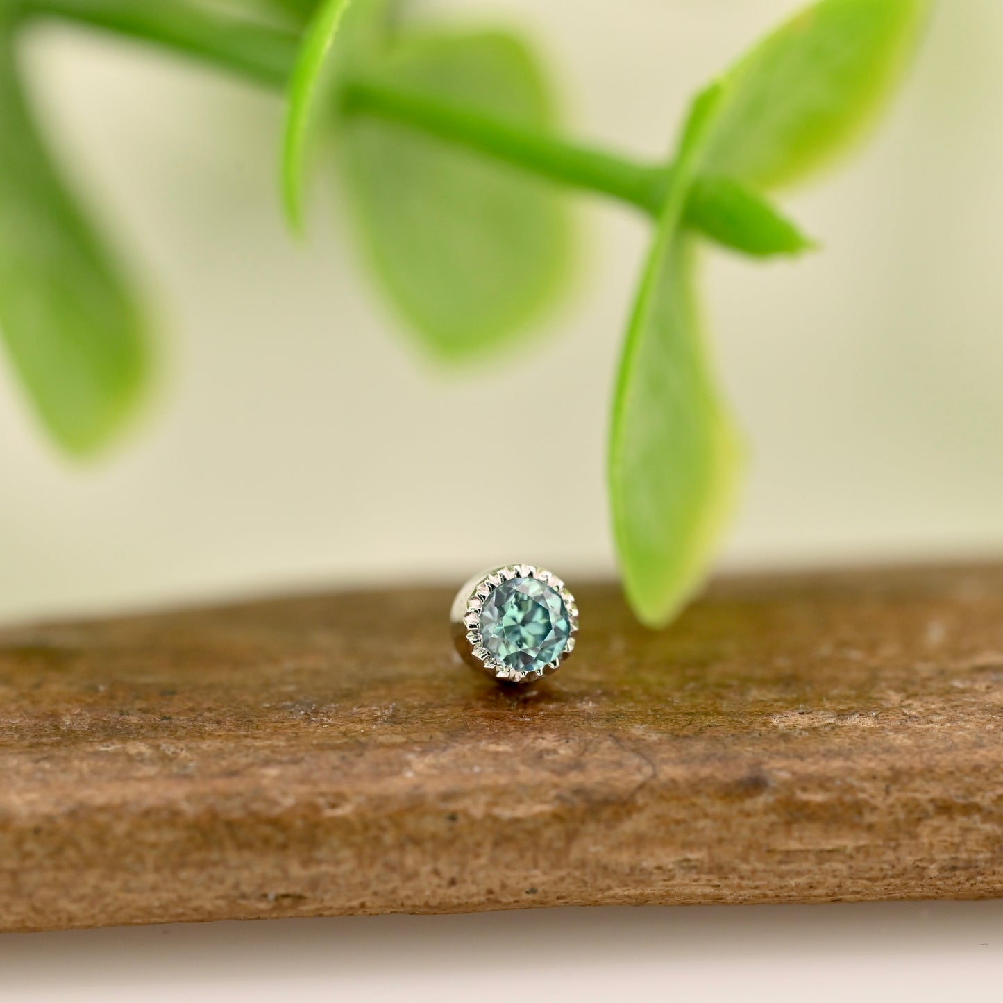 Serrated Bezel 2.5mm