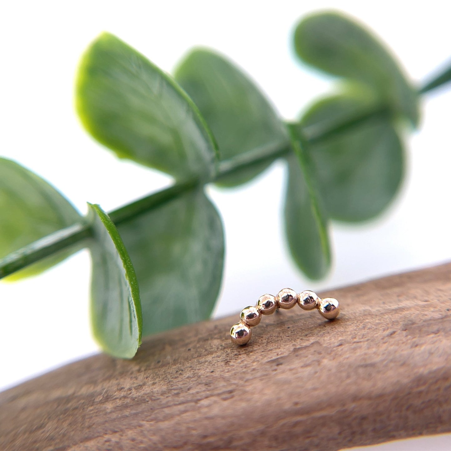 6 Bead Curve - Agave in Bloom