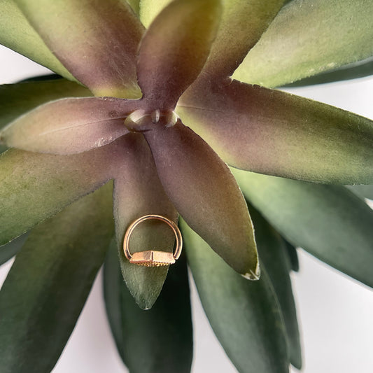 Double Harlequin Seam Ring