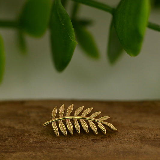 Fern