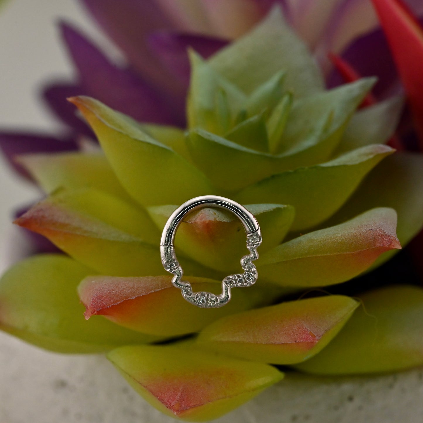 Either Way (Forward Facing)