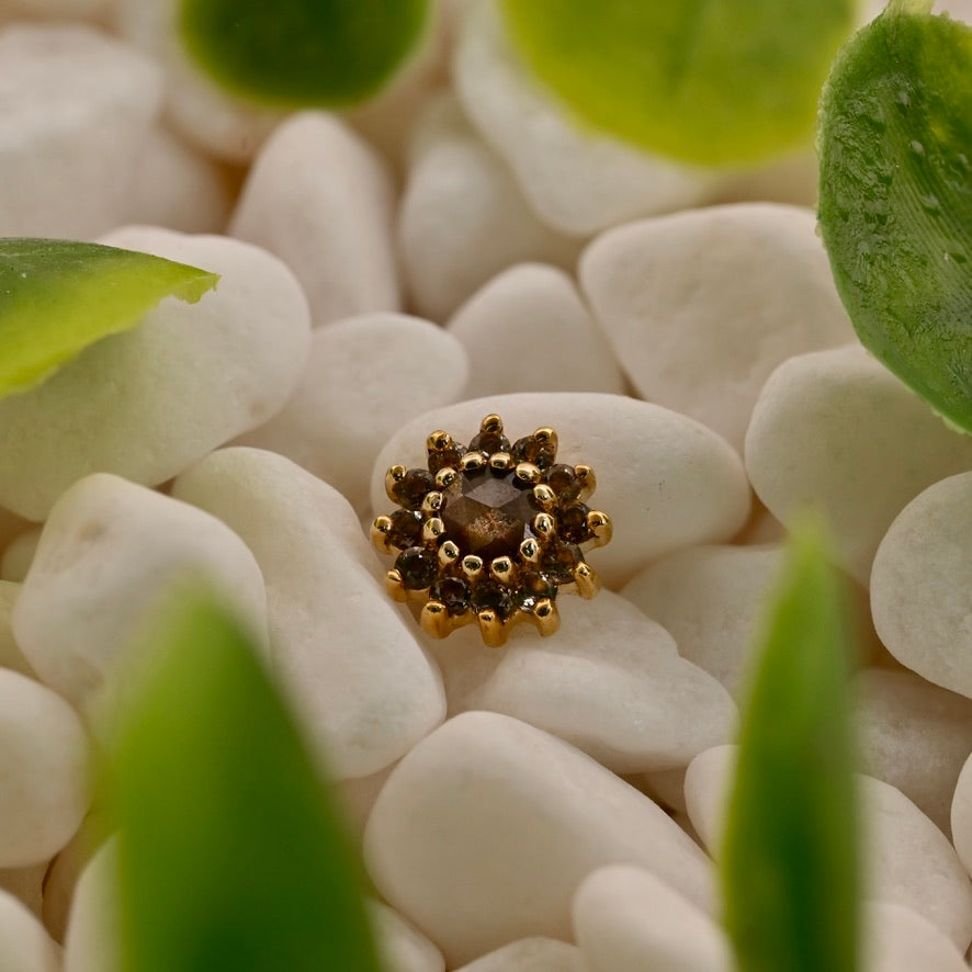 The Rose - 6mm