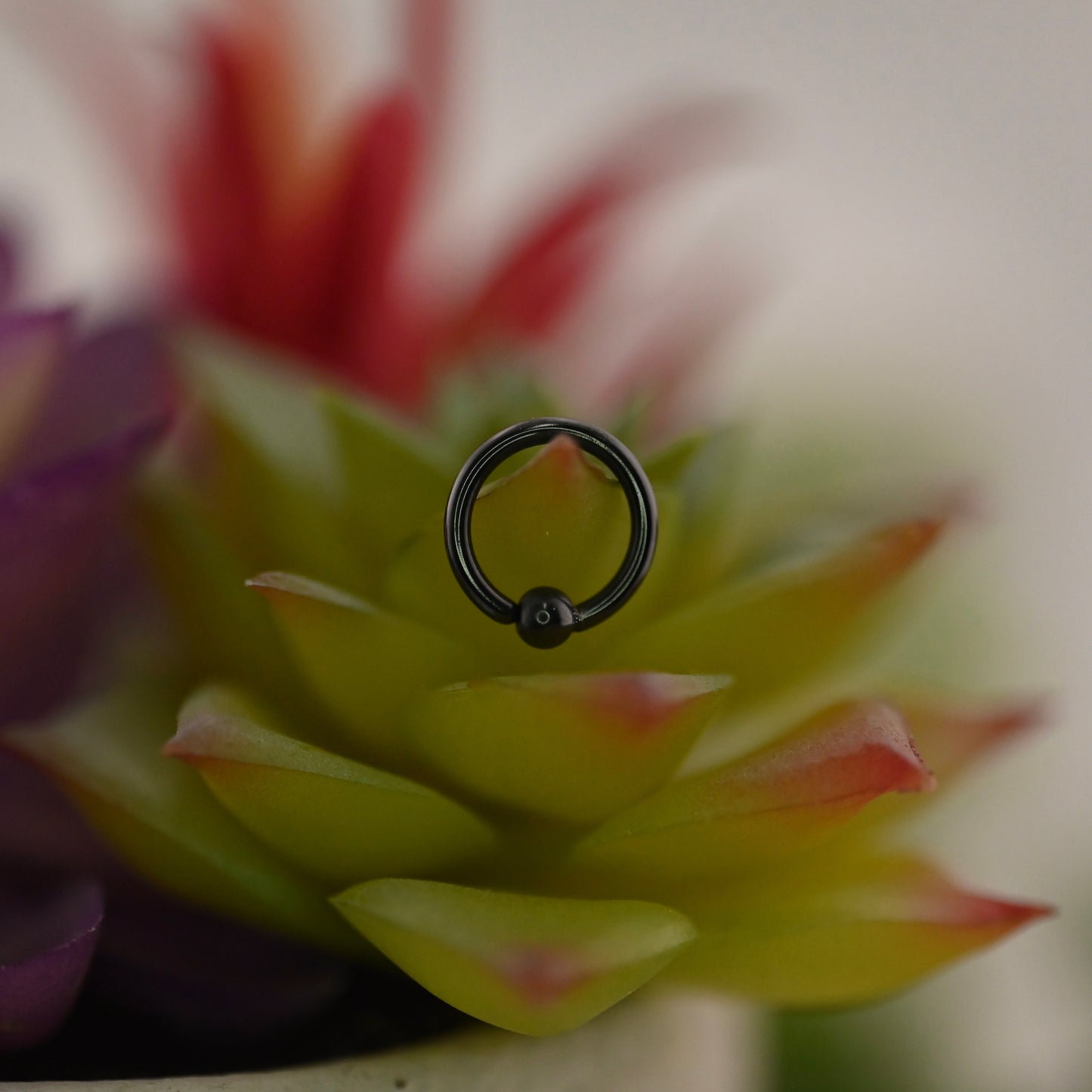 Black Niobium Fixed Bead Ring