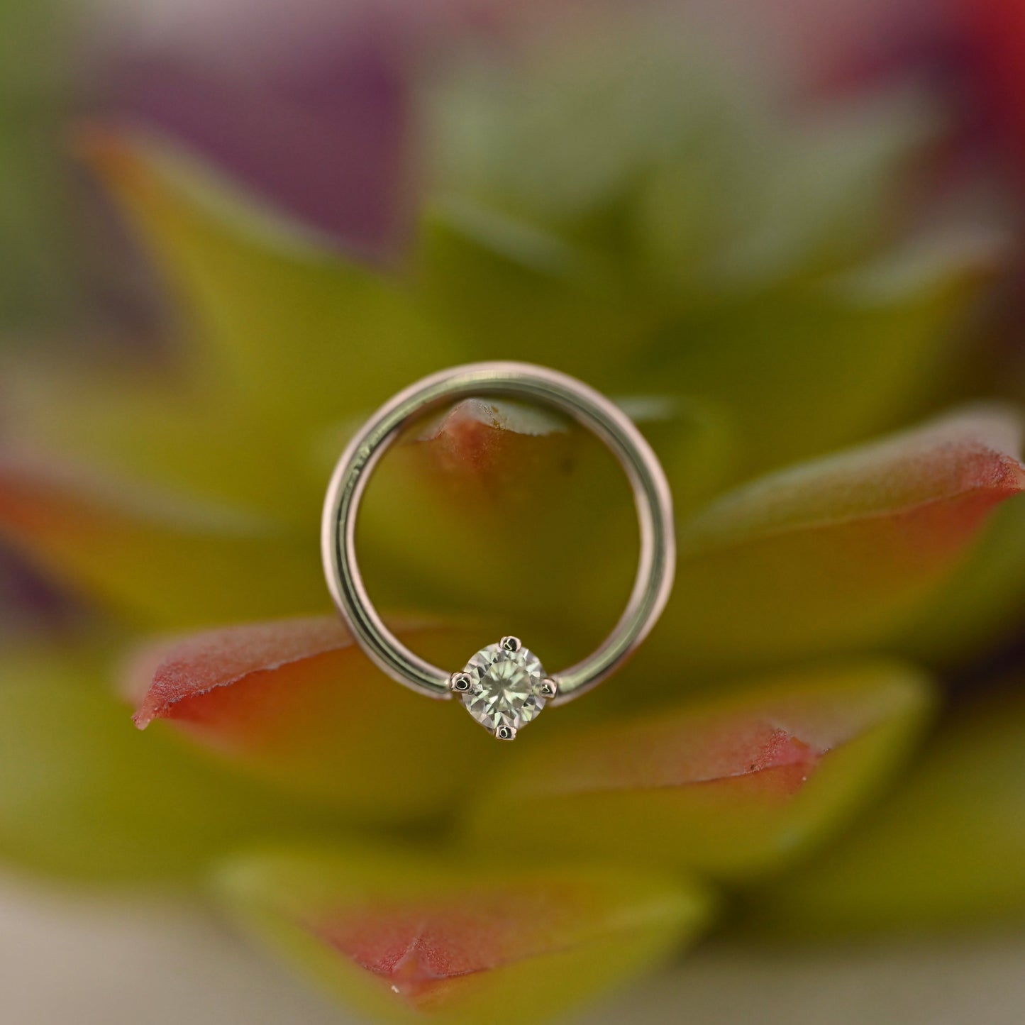 Fixed Ring with 3mm Round Prong - Nipple Orientation