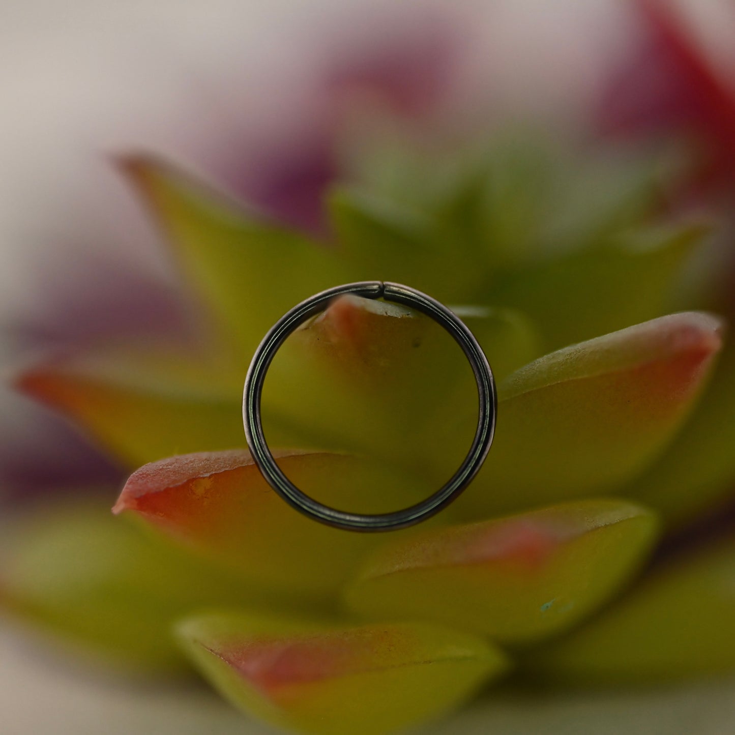 Black Rhodium Seam Ring