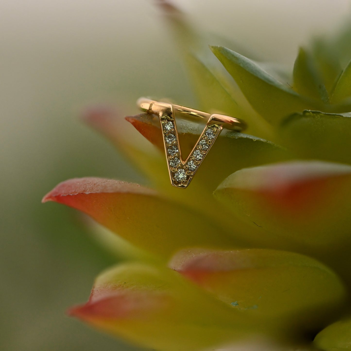 Jennelle V Ring with Gems