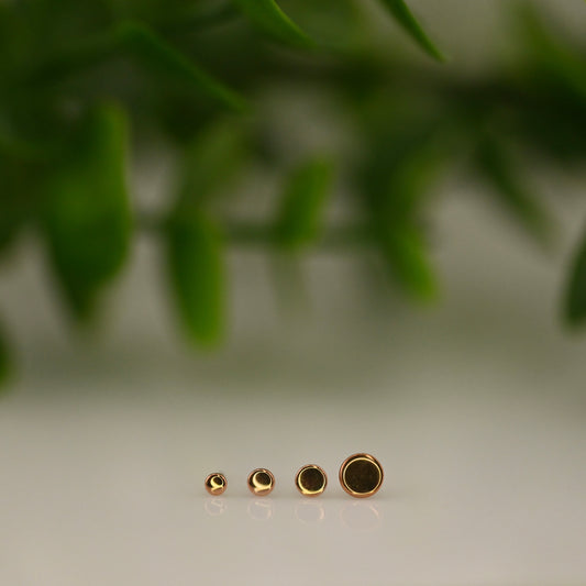 Round Disc - High Polish