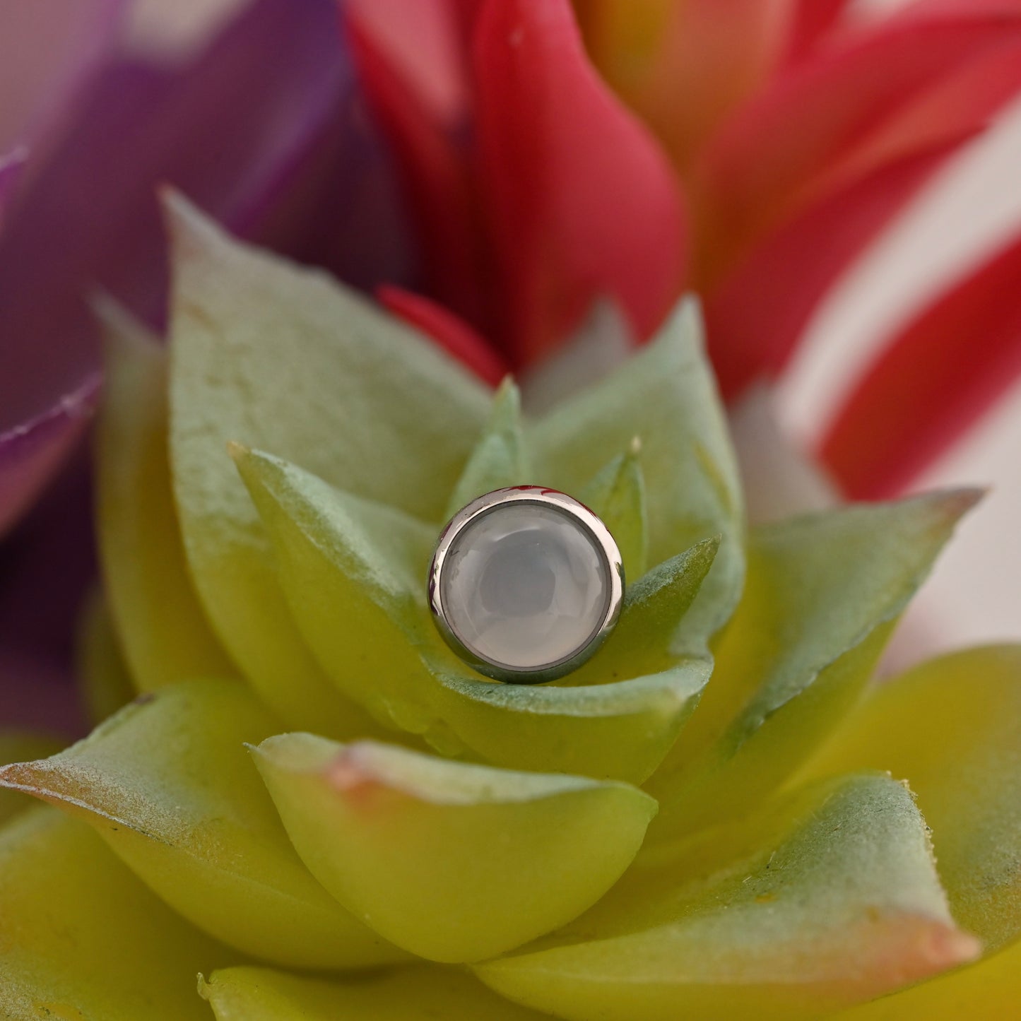 IS Titanium 14g Threaded Bezel Set Gem - 6mm