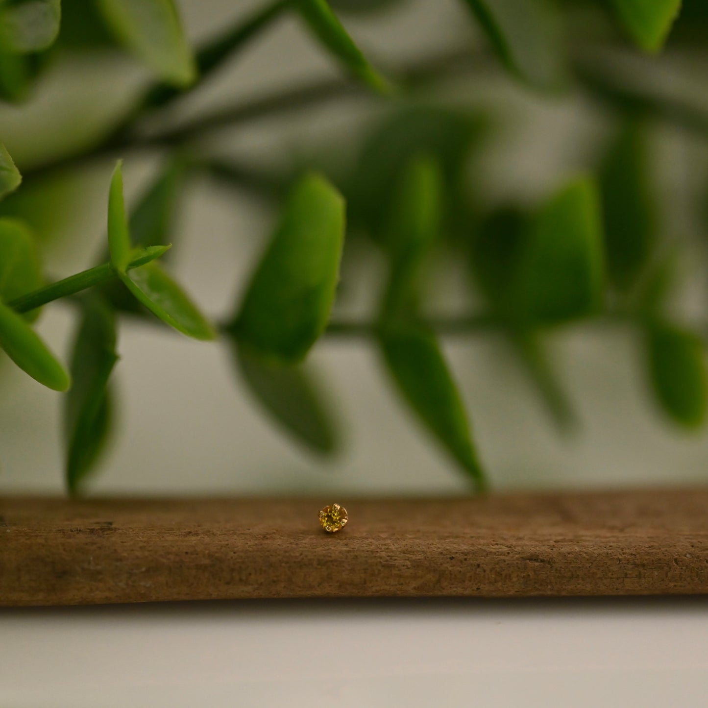 2mm Prong Set Gemstone