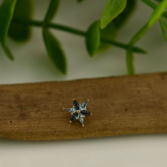 Tiny Stargazer