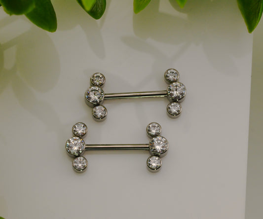 Bijoux Nipple Barbell Pair NB11T