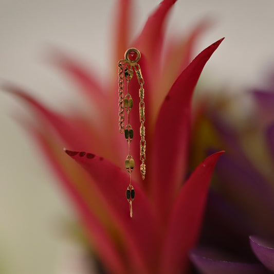 Cosmos Chain - Charm