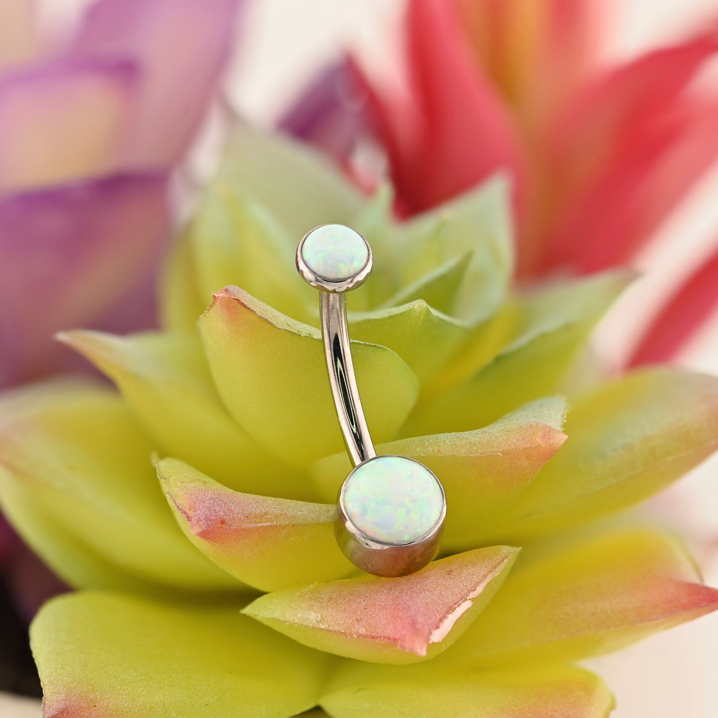 Titanium Double Bezel Navel Curve