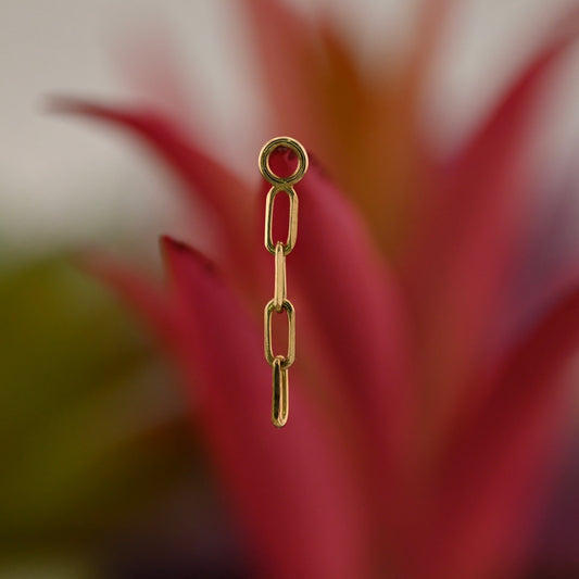 Capulet Chain Charm