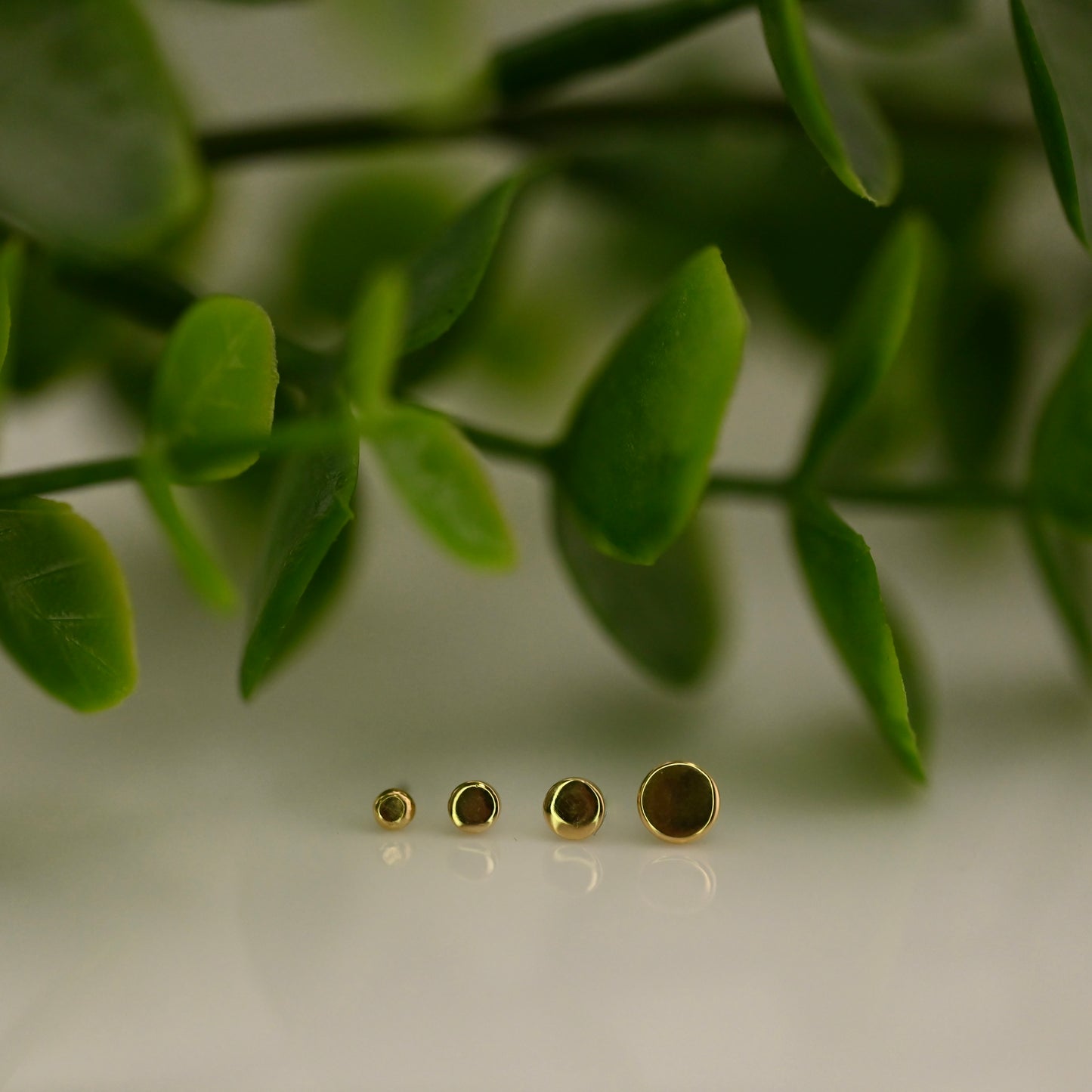 Round Disc - High Polish