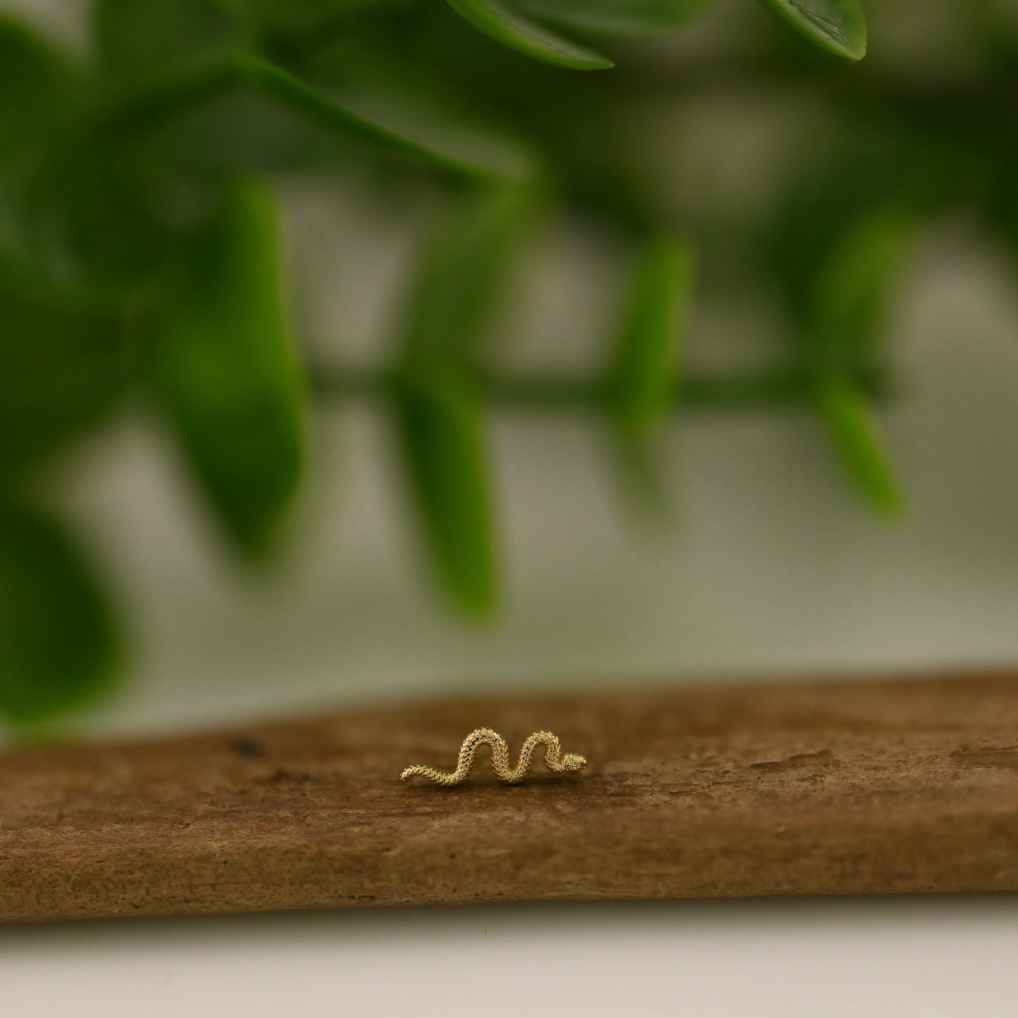 Tiny Delicate Snake