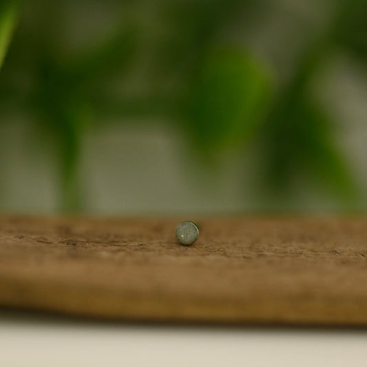 Round Brushed Disc