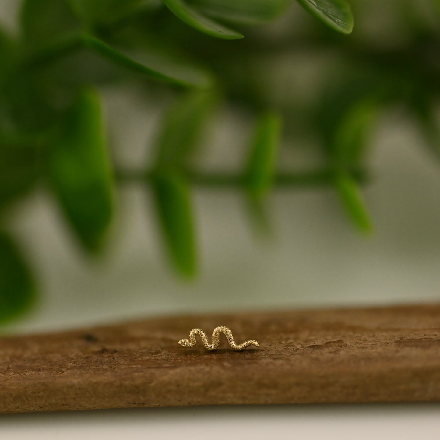 Tiny Delicate Snake