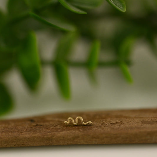 Tiny Delicate Snake