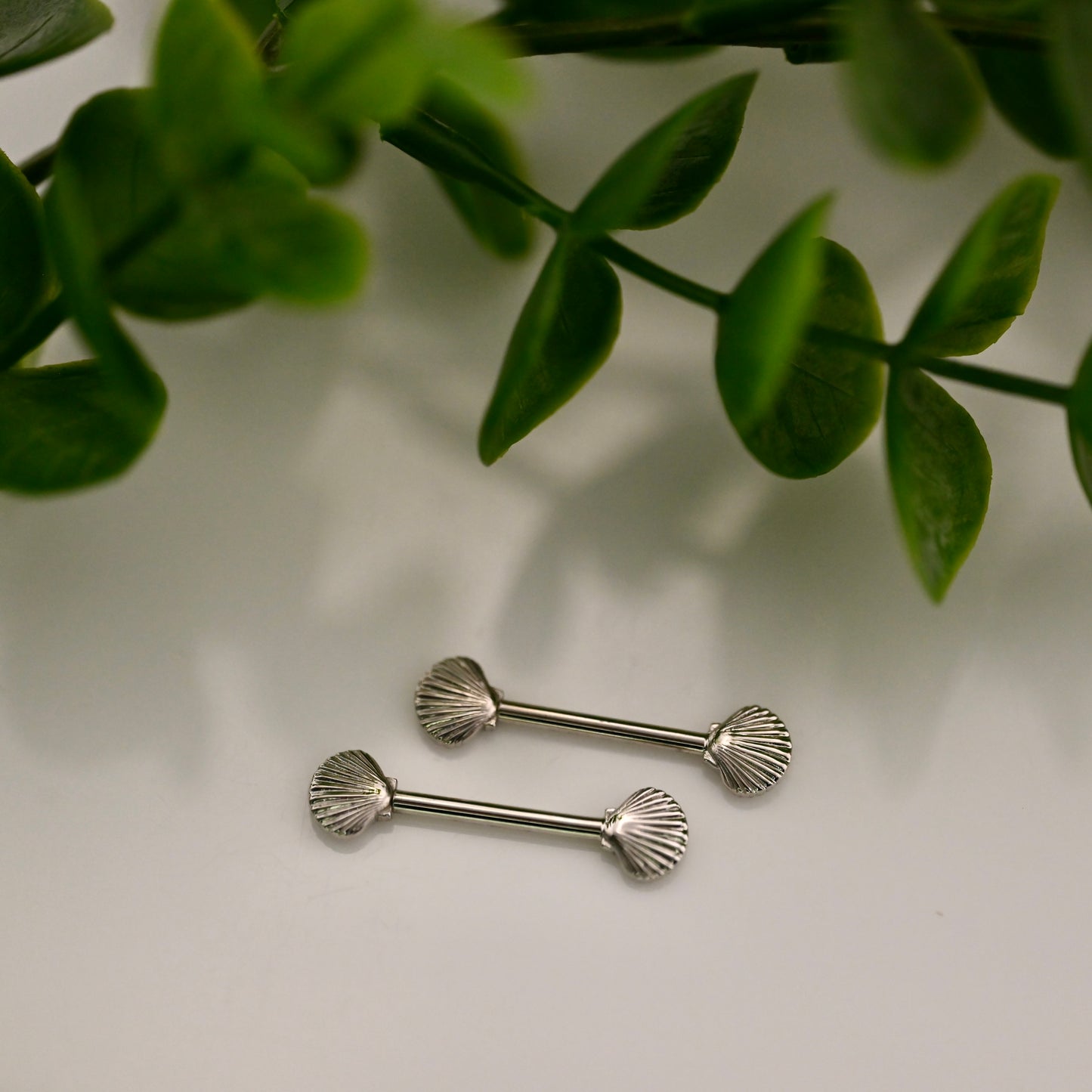 Scallop Shell Nipple Barbell Pair