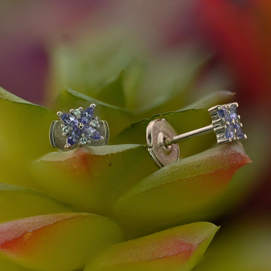 Traditional Earring with La Pousette Backing