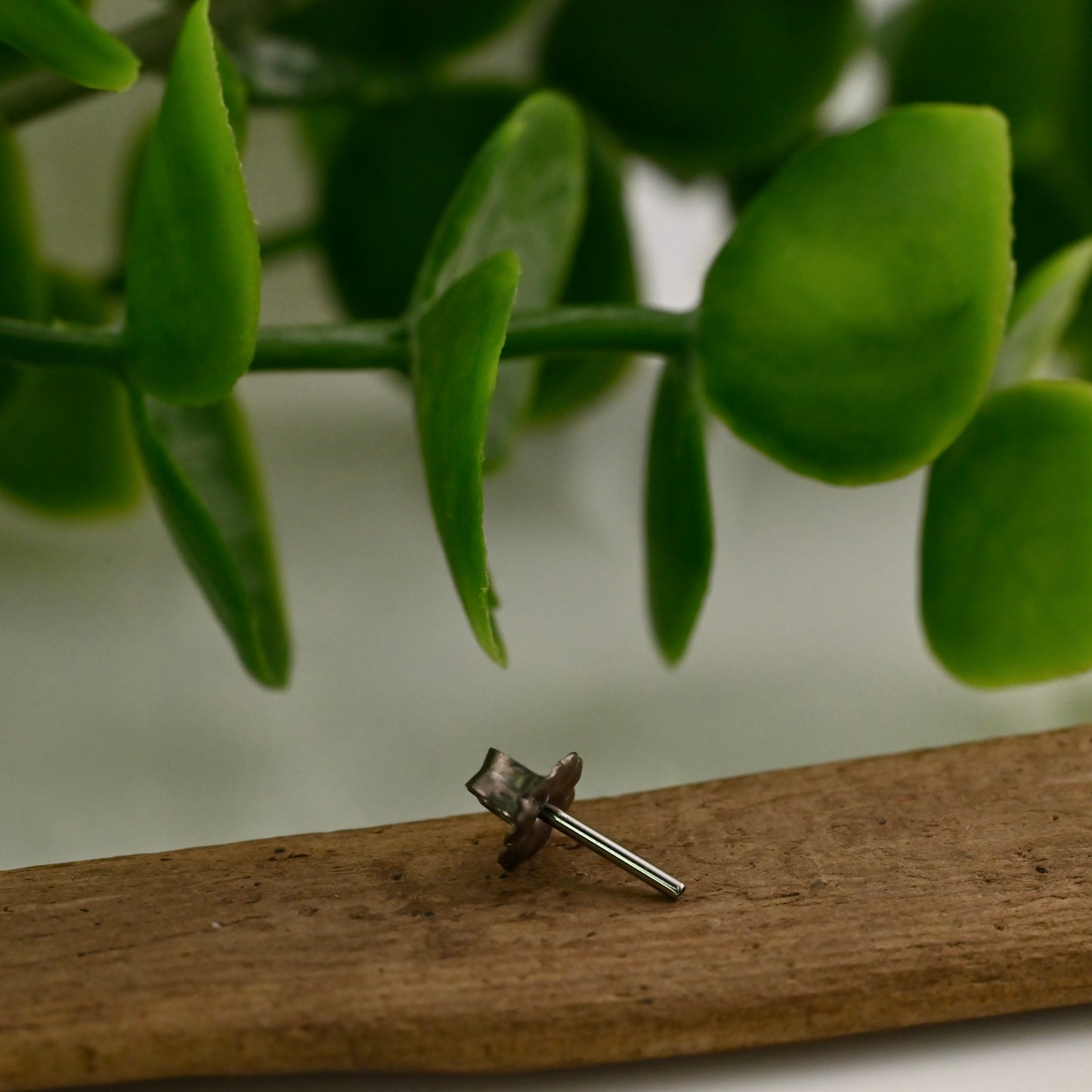 Standard earring adapter