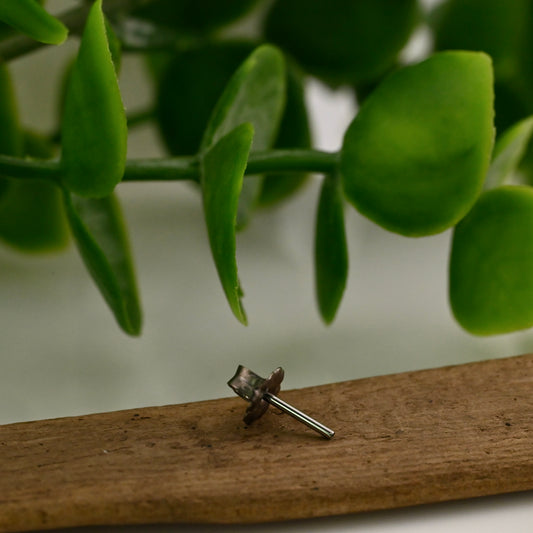 Standard earring adapter