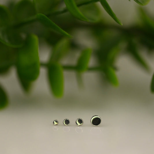 Round Disc - High Polish