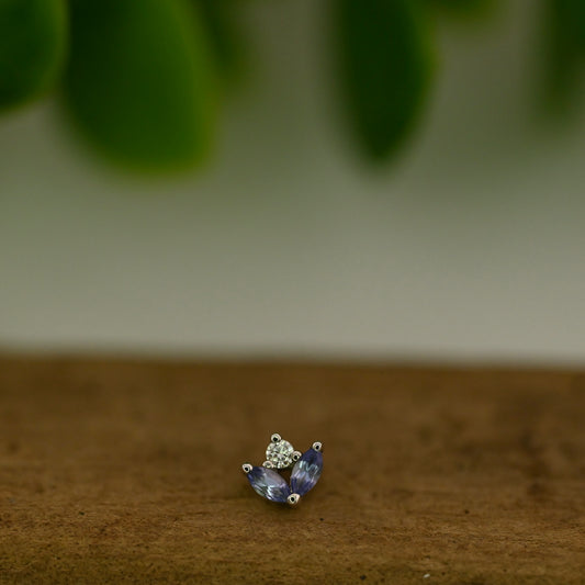 Bloom