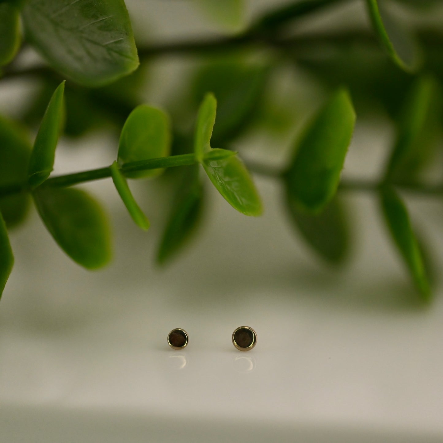 Round Disc - High Polish