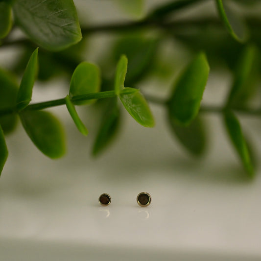 Round Disc - High Polish