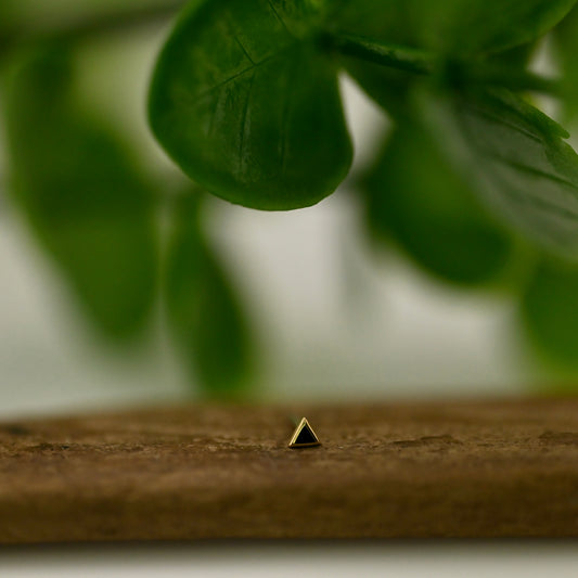 Bitty Toned Tryangle