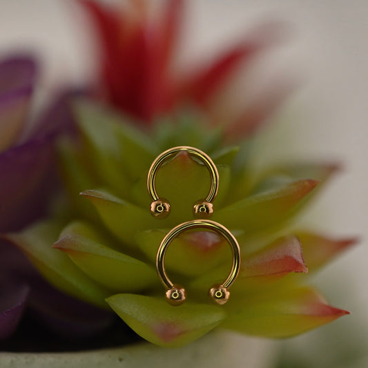 14K Gold Circular Barbell