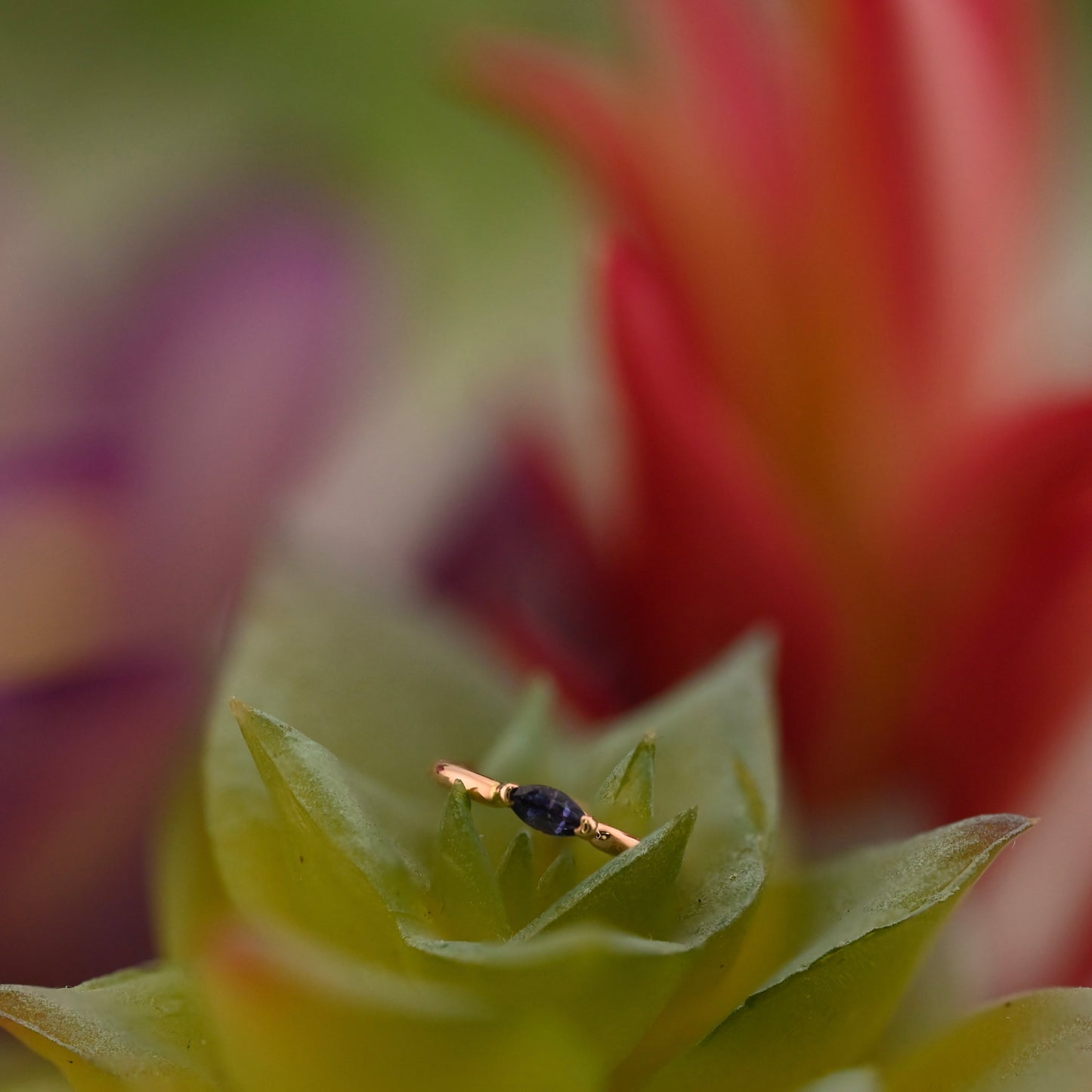 Marquise V Prong Fixed Ring