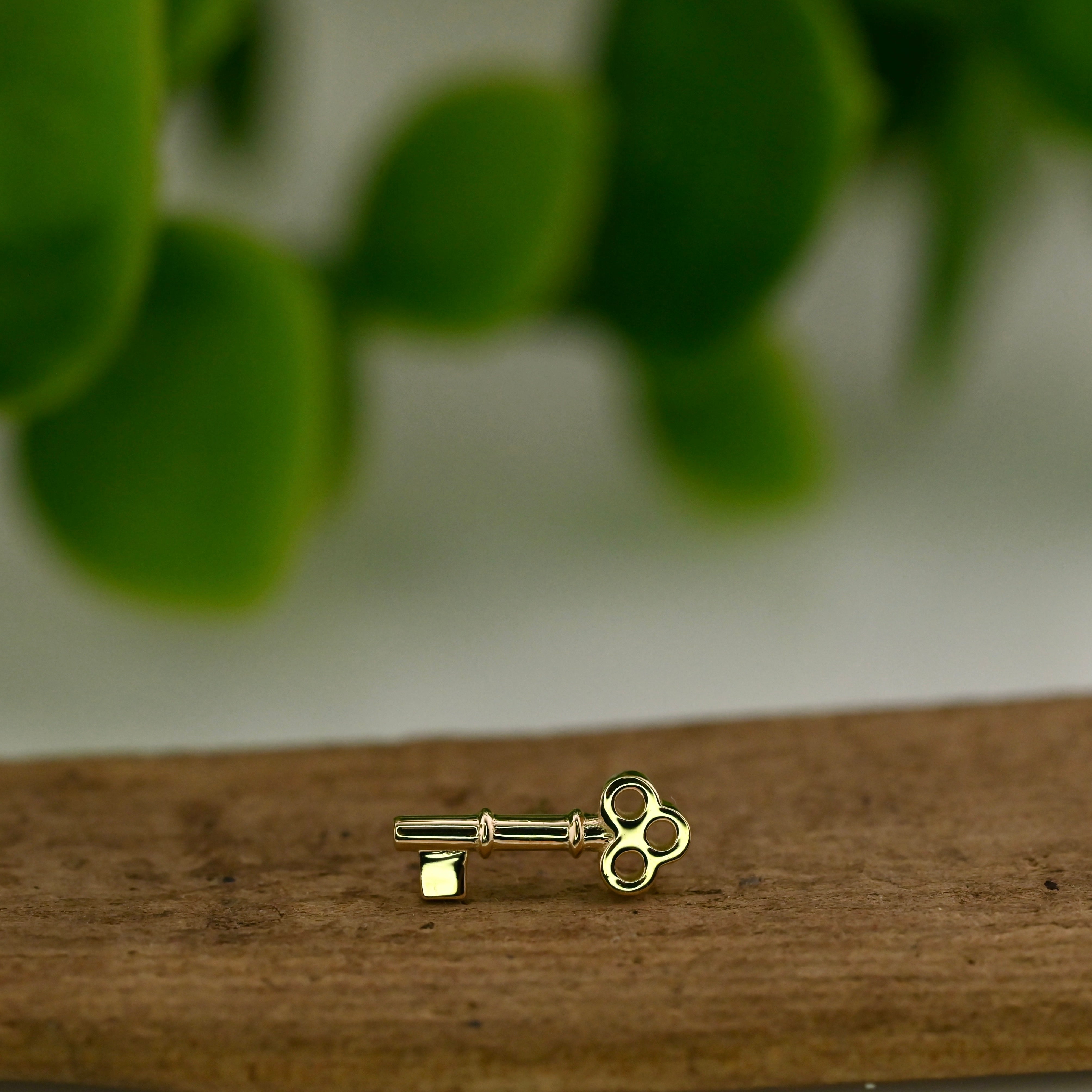 Tiny Skeleton Key – Agave in Bloom