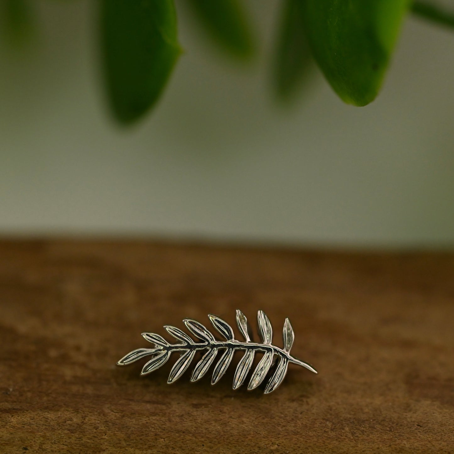 Mini Fern