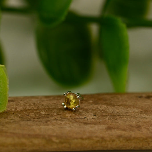 2.5mm Round Cab Prong