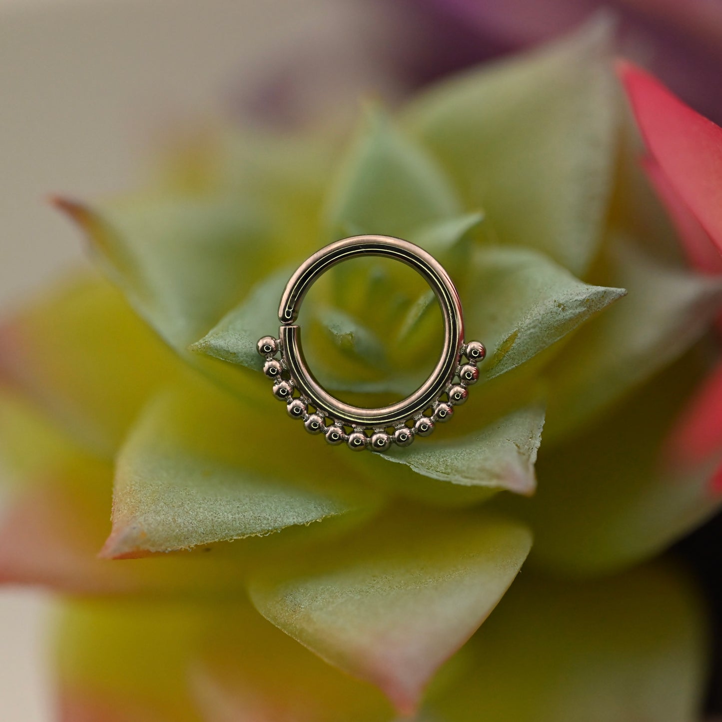 Tanzi Seam Ring