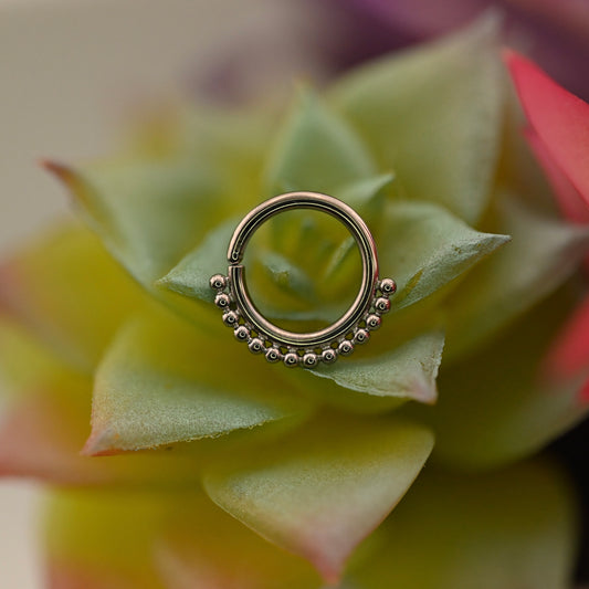 Tanzi Seam Ring