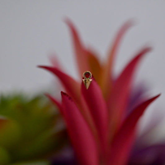 Spike Charm
