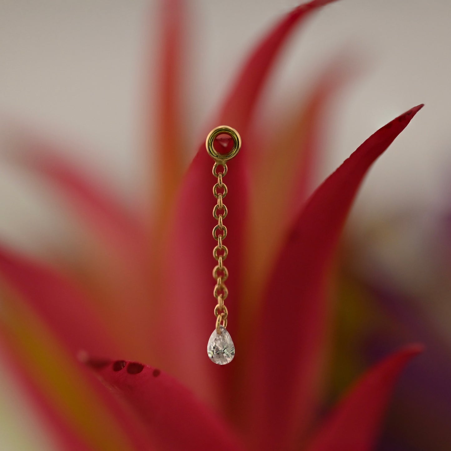 Algea Charm