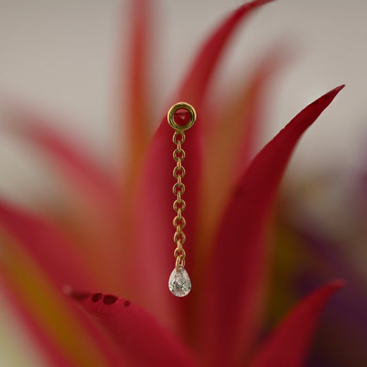 Algea Charm