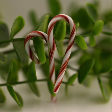 Glass Candy Cane Pair